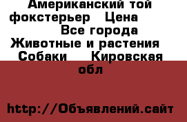 Американский той фокстерьер › Цена ­ 25 000 - Все города Животные и растения » Собаки   . Кировская обл.